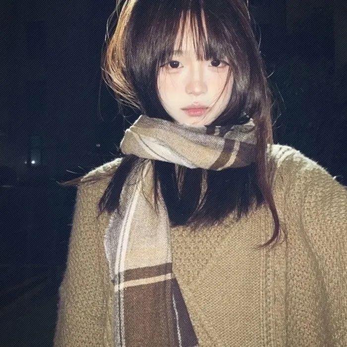 壳中少女:燃烧